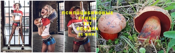 твердый Абаза