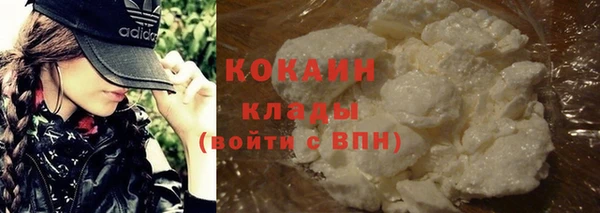 твердый Алексеевка