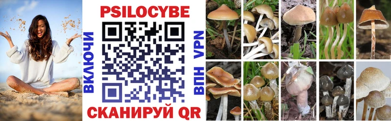 Псилоцибиновые грибы Psilocybine cubensis  Лебедянь 